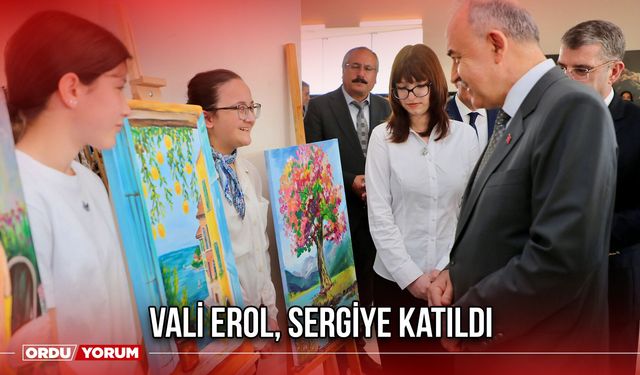 Vali Erol, Sergiye Katıldı