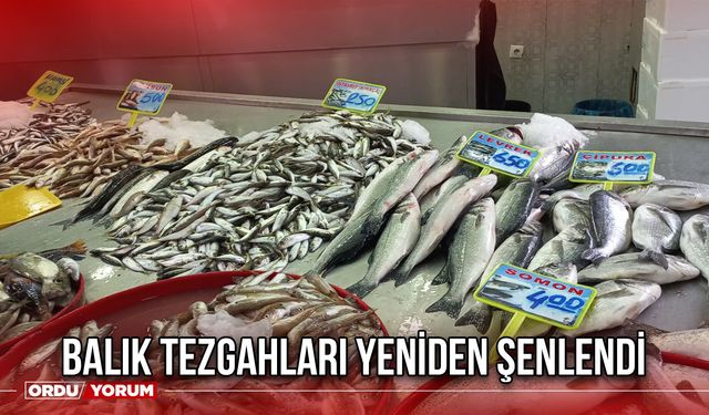 Balık Tezgahları Yeniden Şenlendi