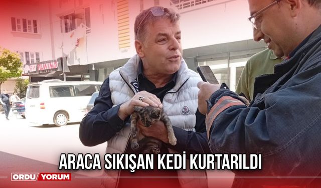 Araca Sıkışan Kedi Kurtarıldı