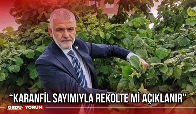 “Karanfil Sayımıyla Rekolte Mi Açıklanır”