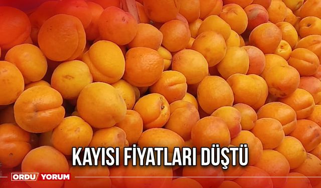 Kayısı Fiyatları Düştü