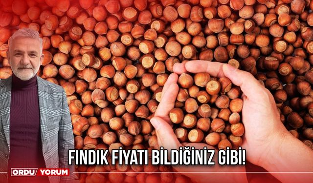 Fındık Fiyatı Bildiğiniz Gibi!