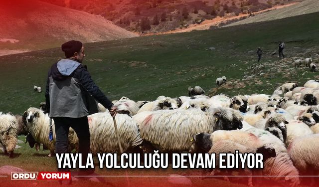Yayla Yolculuğu Devam Ediyor
