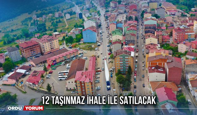 12 Taşınmaz İhale İle Satılacak