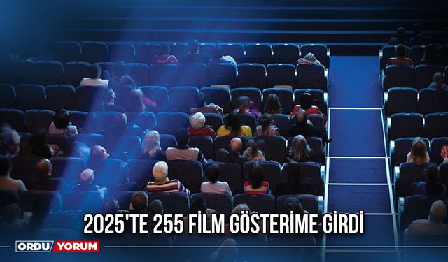 2025'te 255 Film Gösterime Girdi