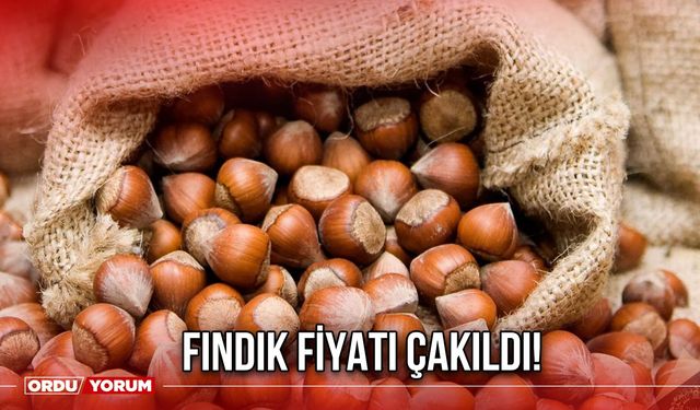 Fındık Fiyatı Çakıldı!