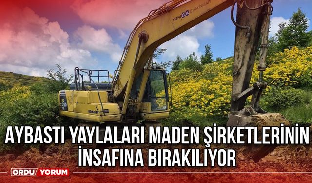 Aybastı Yaylaları Maden Şirketlerinin İnsafına Bırakılıyor