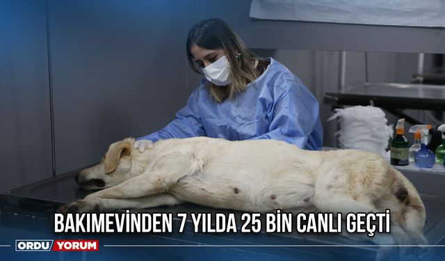 Bakımevinden 7 Yılda 25 Bin Canlı Geçti