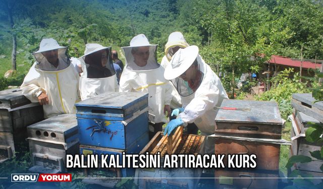 Balın Kalitesini Artıracak Kurs