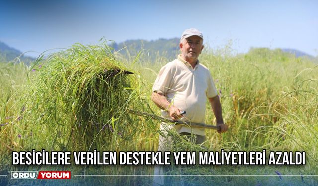 Besicilere Verilen Destekle Yem Maliyetleri Azaldı