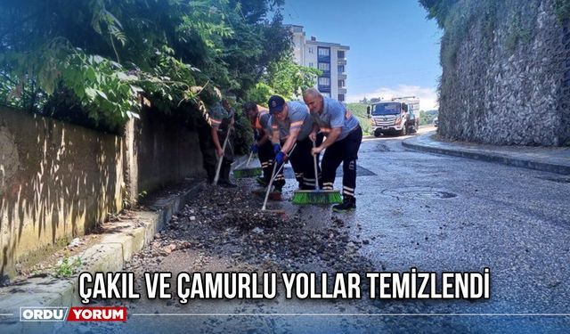 Çakıl ve Çamurlu Yollar Temizlendi