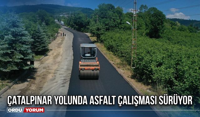 Çatalpınar Yolunda Asfalt Çalışması Sürüyor