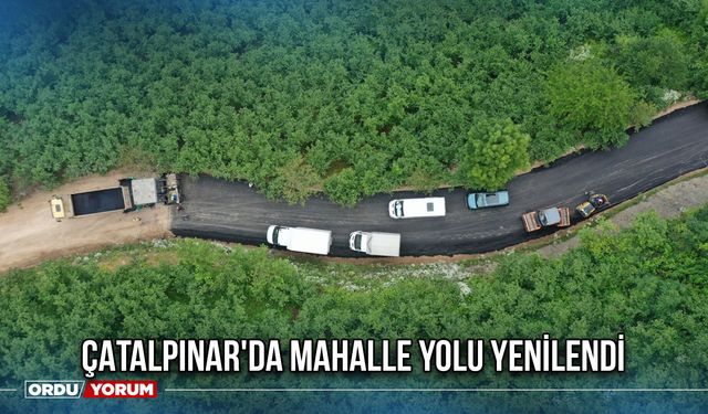 Çatalpınar'da Mahalle Yolu Yenilendi