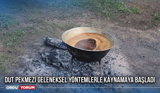 Dut Pekmezi Geleneksel Yöntemlerle Kaynamaya Başladı