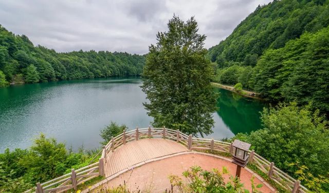 Ordu Ekoloji Platformu Kuruluyor