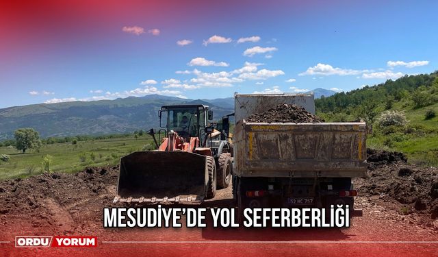 Mesudiye’de Yol Seferberliği