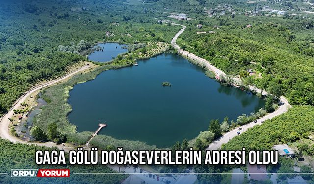 Gaga Gölü Doğaseverlerin Adresi Oldu