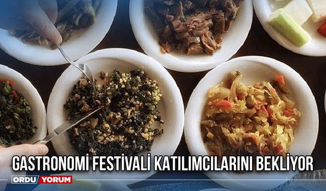 Gastronomi Festivali Katılımcılarını Bekliyor