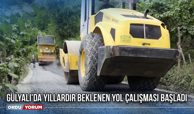 Gülyalı'da Yıllardır Beklenen Yol Çalışması Başladı