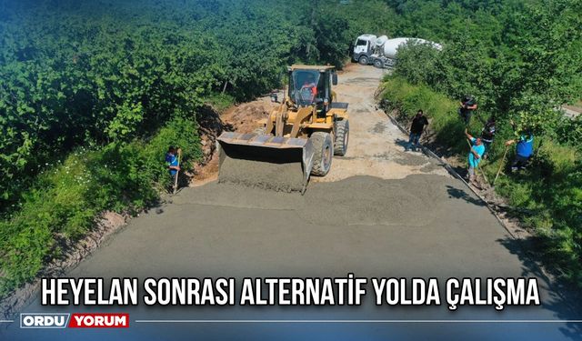 Heyelan Sonrası Alternatif Yolda Çalışma