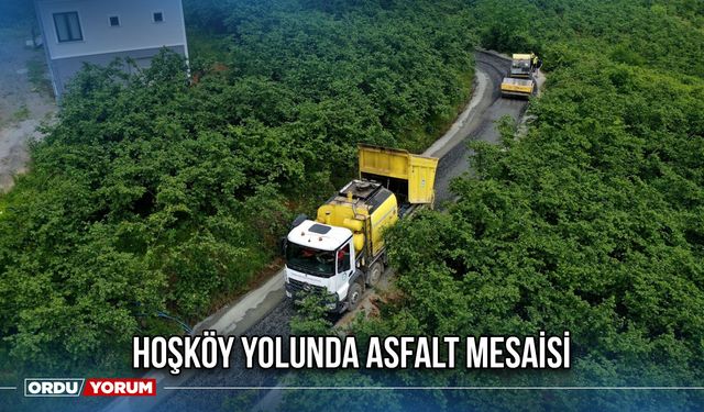 Hoşköy Yolunda Asfalt Mesaisi