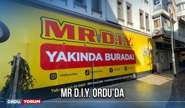 MR D.I.Y. Ordu'da