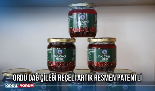 Ordu Dağ Çileği Reçeli Artık Resmen Patentli