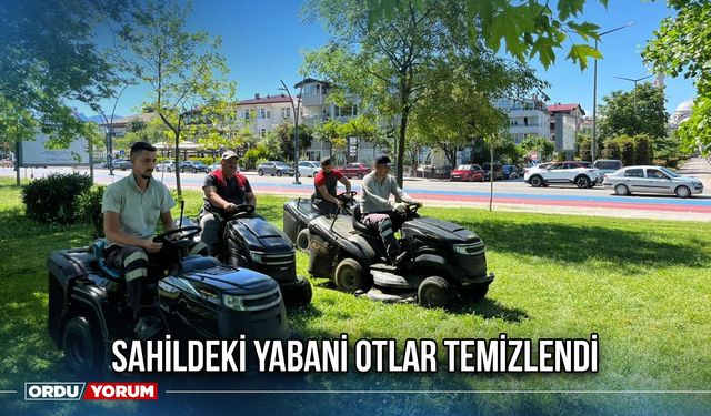 Sahildeki Yabani Otlar Temizlendi