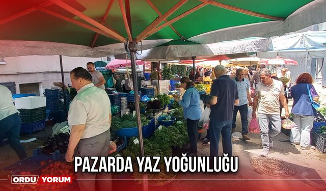 Pazarda Yaz Yoğunluğu