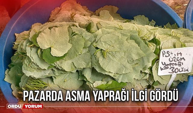 Pazarda Asma Yaprağı İlgi Gördü