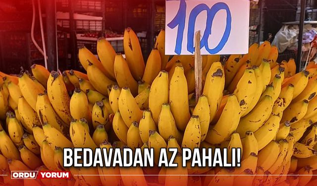 Bedavadan Az Pahalı!