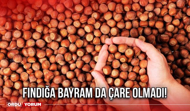 Fındığa Bayram Da Çare Olmadı!