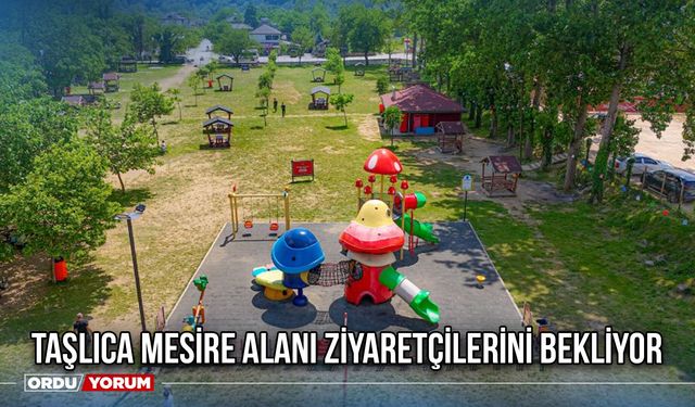 Taşlıca Mesire Alanı Ziyaretçilerini Bekliyor