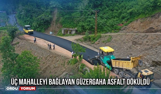 Üç Mahalleyi Bağlayan Güzergaha Asfalt Döküldü