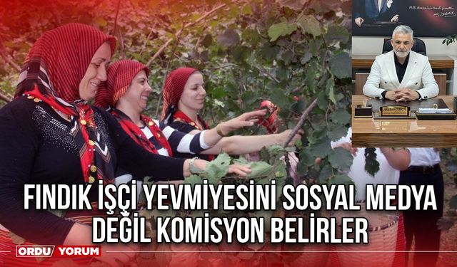 Fındık İşçi Yevmiyesini Sosyal Medya Değil Komisyon Belirler