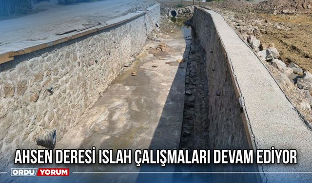 Ahsen Deresi Islah Çalışmaları Devam Ediyor