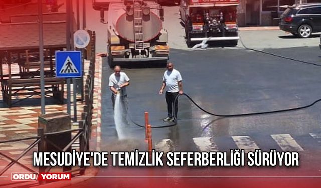 Mesudiye'de Temizlik Seferberliği Sürüyor
