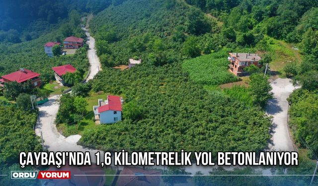Çaybaşı'nda 1,6 Kilometrelik Yol Betonlanıyor