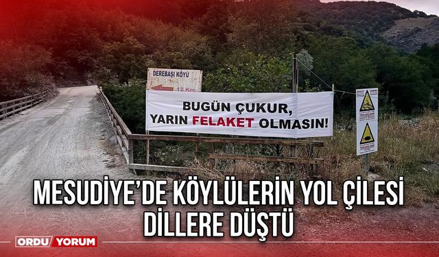 Mesudiye’de Köylülerin Yol Çilesi Dillere Düştü