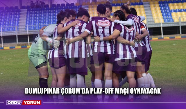 Dumlupınar Çorum'da Play-Off Maçı Oynayacak