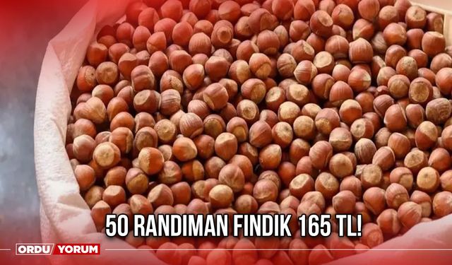 50 Randıman Fındık 165 TL!