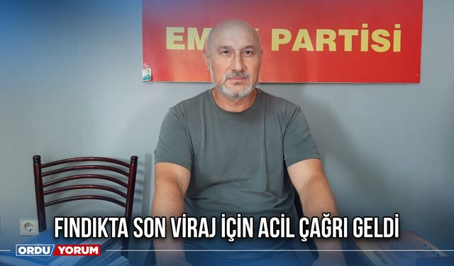 Fındıkta Son Viraj İçin Acil Çağrı Geldi
