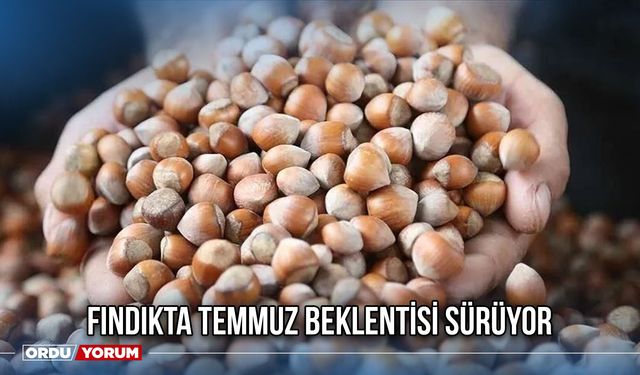 Fındıkta Temmuz Beklentisi Sürüyor