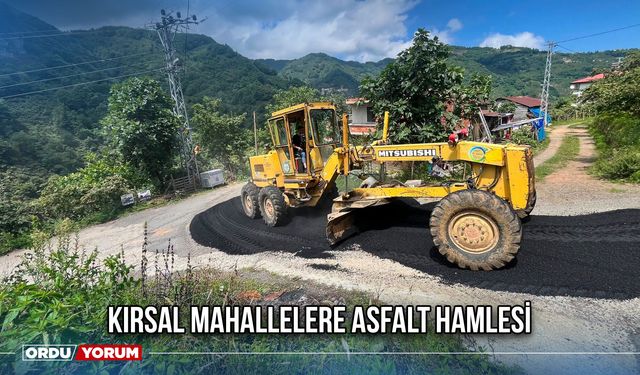 Kırsal Mahallelere Asfalt Hamlesi
