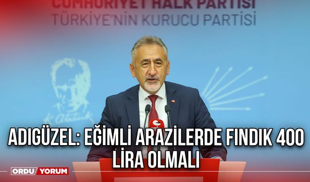 Adıgüzel: Eğimli Arazilerde Fındık 400 Lira Olmalı