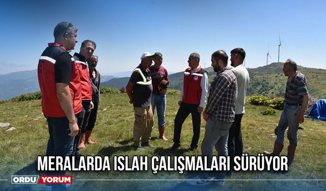 Meralarda Islah Çalışmaları Sürüyor