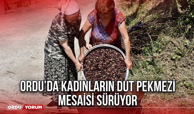Ordu’da Kadınların Dut Pekmezi Mesaisi Sürüyor