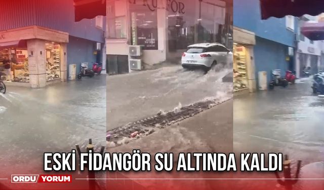 Eski Fidangör Su Altında Kaldı