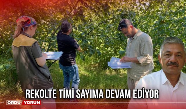 Rekolte Timi Sayıma Devam Ediyor