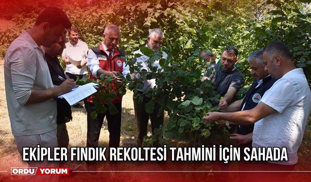 Ekipler Fındık Rekoltesi Tahmini İçin Sahada